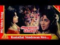 Kaalathai Vendravan Nee Video Song | Adimai Penn Movie Songs | M. G. R|Jayalalitha|Pyramid Music