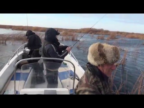 прогноз клева рыбы в ковров прогноз клева рыбы в ковров