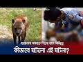 চিড়িয়াখানায় শিশুর হাত কামড়ে ছিঁড়ে নিয়ে গেল হায়েনা! কী ঘটেছিলো? | Mirpur Zoo | Hyena | Jamuna TV