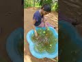 fish tank  cleaning 🤩🤩| malayalam video🤩🤩🤩