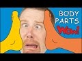 Body Parts for Kids NEW | Magic English Stories for Children from Steve and Maggie | Wow English TV