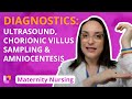 Diagnostics: Ultrasound, Chorionic Villus Sampling, Amniocentesis - Maternity Nursing | @LevelUpRN