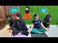 Funny yoga competition with my dogs | funny dog videos | @snappygirls02