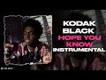 Kodak Black - Hope You Know (Instrumental)