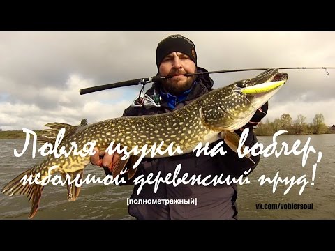 на что ловить щуку в половодье на что ловить щуку в половодье