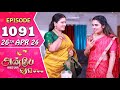 Anbe Vaa Serial | Episode 1091 | 26th April 24 | Virat | Shree Gopika | Saregama TV Shows Tamil
