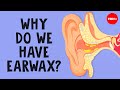 What is earwax — and should you get rid of it? - Henry C. Ou