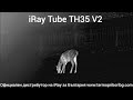 iRay Tube TH35V2 наблюдение на дива свиня и кошути на различни дистанции