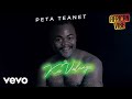 Peta Teanet - African Vibe PT 2 (Visualizer)