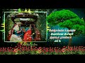 Oru Kola Kili Sodi Thannai Whatsapp Status Videos HD WapMight
