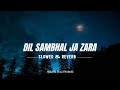 Dil sambhal ja zara (Slowed + Reverb)
