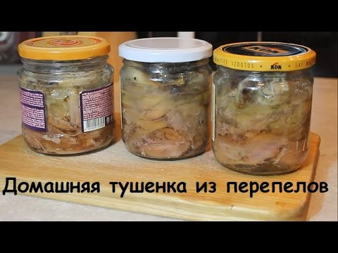 T я в домашних условиях T я в домашних условиях