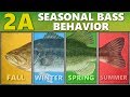 INTERMEDIATE GUIDE to BASS FISHING: 2A - Seasonal Bass Behavior