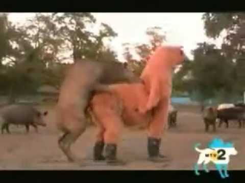 Видео секс с пятью 4