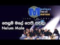 නෙලුම් මලේ  - Nelum Male | Marians Miyesi Mantra Concert (20th Anniversary)