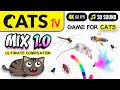CAT TV - MIX 1 Ultimate Compilation 🙀 Game for cats 🐝 🐭🪳