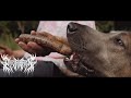 PRAY FOR PAIN - CADAVER [OFFICIAL MUSIC VIDEO] (2024) SW EXCLUSIVE