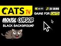 CAT TV - Crazy mouse cursor [Black Background] 🙀🖱️🎶 4K 🔴 60FPS  (3 HOURS)