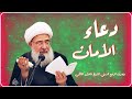 دعاء الامان للإمام علي عليه السلام /المرجع الديني الشيخ فاضل المالكي