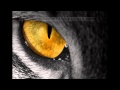 Survivor - Eye Of The Tiger [Best Quality]