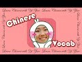Learn Chinese with Yi Zhao: Beginner Mandarin Chinese Vocabulary in 3 Hours Based on HSK1 & HSK2