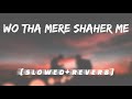 Wo Tha Mere Shaher Me | Mohd Irfan | [Slowed+Reverb] | Lofi Song Hitz | New Song 2024