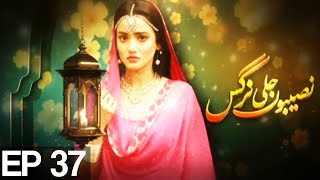 Naseboon Jali Nargis - Episode 37 Express Entertainment Naseboon Jali Nargis - Episode 37 Express Entertainment