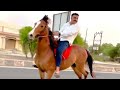 horse video 🏇