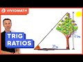 Trigonometry: Trig Ratios - VividMath.com