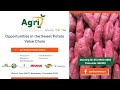 Opportunities in the Sweet Potato Value Chain (webinar)