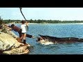 Download 10 Shocking Fishing Moments Caught On Camera! mp4 3gp mp3 videos - waplic