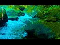 Relaxing forest stream sounds, bird voices, cool stream very quiet-