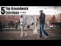 Top 5 Groundwork Exercises for Horses - Clearly Communicating