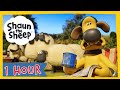 🔁 1 Hour Compilation Episodes 21-30 🐑 Shaun the Sheep S4