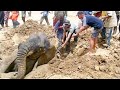Google Earth Hero: Save The Elephants