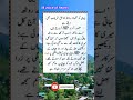 Islamic Quotes | Golden Words | Urdu Quotes | viral |