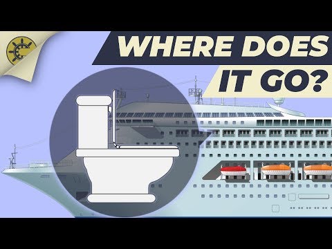 What happens after you flush the toilet on a cruise ship 