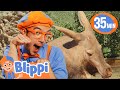 Blippi’s Fun Zoo Day! | BEST OF BLIPPI TOYS | Educational Videos for Kids