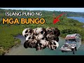 Isang Isla sa Pilipinas Puntahan ng mga Taong Handa ng Mamatay | Bakit Kaya? | SISI Island |