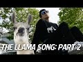 THE LLAMA SONG: PART 2