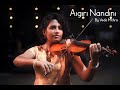 Aigiri Nandini - Violin cover