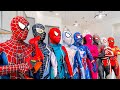 What If Many SPIDER-MAN in 1 HOUSE...?? || SPIDER-MAN's Story New Season 3 ( All Action, Funny...)