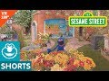Sesame Street: Grover Shows Near and Far in VR 180 Video!