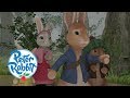Peter Rabbit - The Disaster Trilogy | Cartoons for Kids