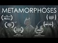 Metamorphoses— Award winning animation short film (2021)