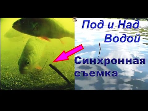 удочка для карпа и карася с боковым кивком удочка для того карпа равно карася из боковым кивком