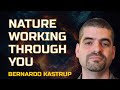 Bernardo Kastrup | Allowing Nature To Work Through You