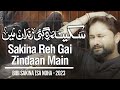 Nohay 2023 | Sakina Reh Gai Zindaan Main | Syed Raza Abbas Zaidi | Muharram 1445 | Bibi Sakina Noha