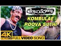 Kombulae Poova Suthi Song | Virumaandi Tamil Movie | Kamal Haasan | Abhirami | Ilaiyaraaja