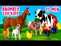 Animals for Kids 25 min Farm animal sound